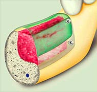 Biologics and New Arising Technology