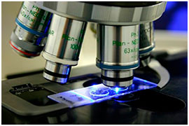 Pathology and Biopsies - Temporomandibular joint disorders (TMD)