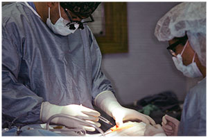 surgical instructions - dental implants